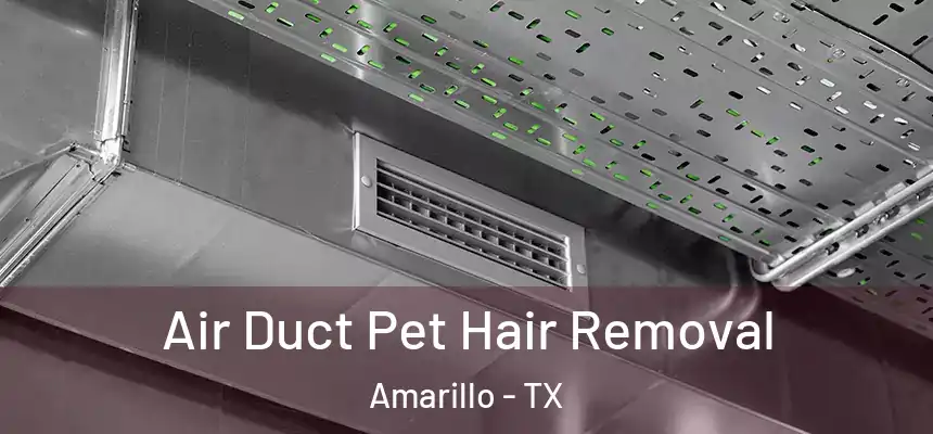 Air Duct Pet Hair Removal Amarillo - TX