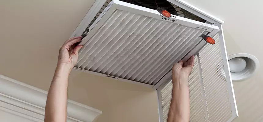 Preventive Cockroach-Proofing for Ducts in Amarillo