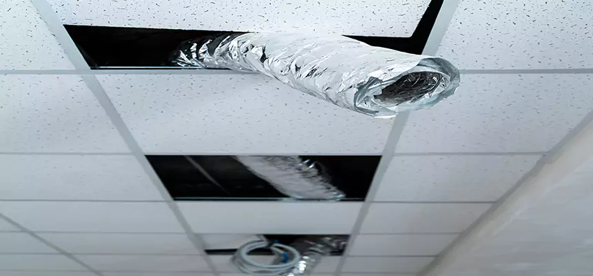 Affordable HVAC Sanitizing After Pest Removal in Amarillo