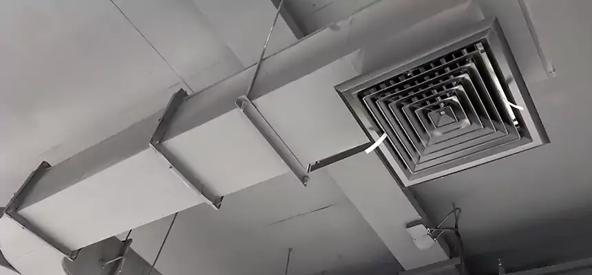 Restorative Allergy Relief Vent Cleaning – Coil, Blower & Housing Detail in Amarillo