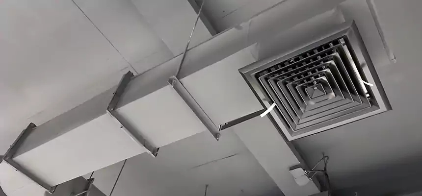 Our Pest Removal From Ducts Services in Amarillo, TX