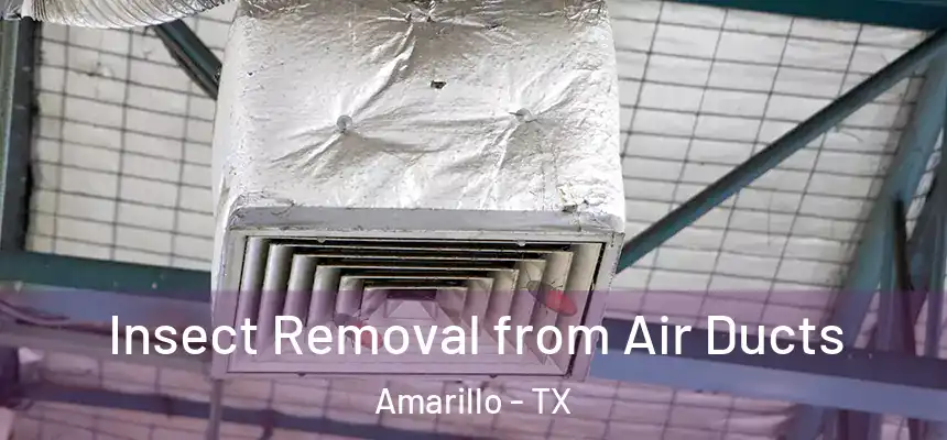  Insect Removal from Air Ducts Amarillo - TX