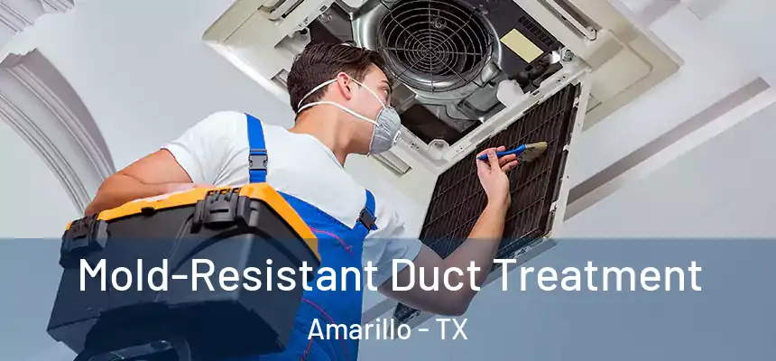  Mold-Resistant Duct Treatment Amarillo - TX