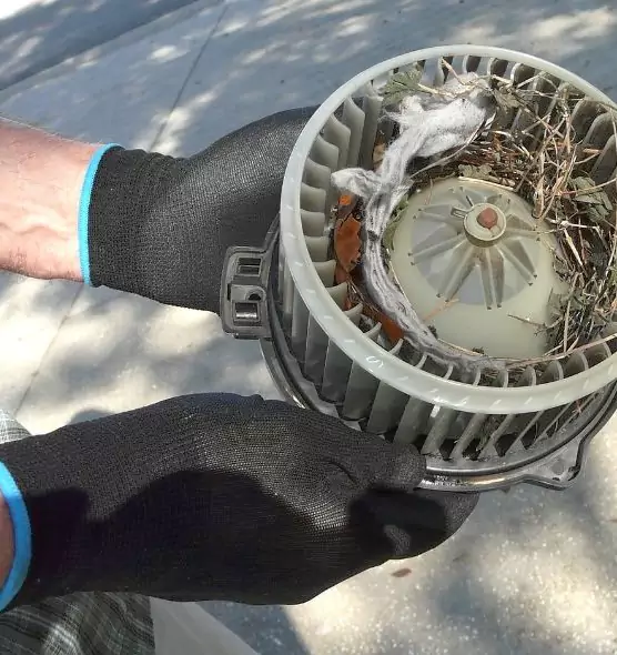 About Air Duct Mice Removal in Amarillo, TX