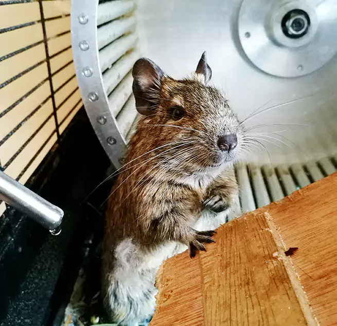 Why Homeowners & Businesses Trust Us Amarillo, TX?